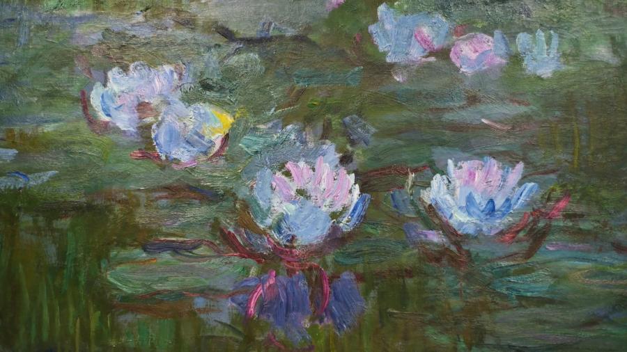 Close Up: Monet en de Waterlelies