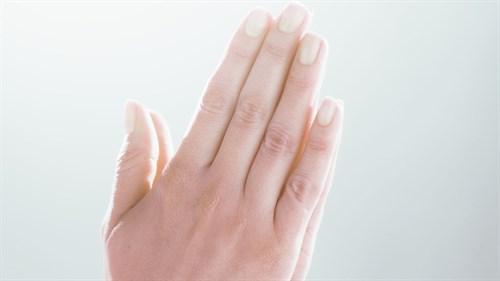 Coran avec lauréats