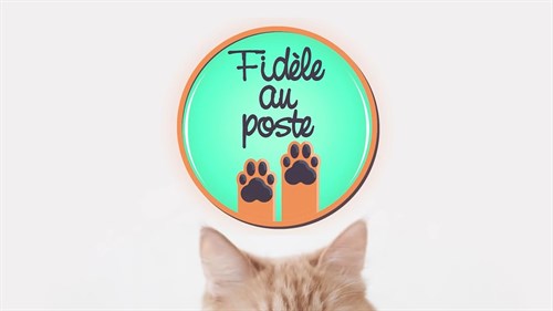 Fidèle au poste