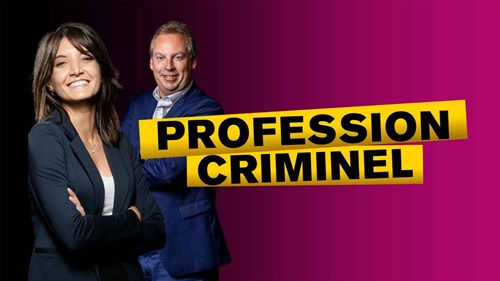 Profession criminel
