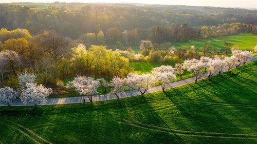 Weer — TVLimburg 20:10